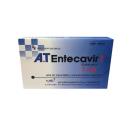 entecavir 2 B0223 130x130px