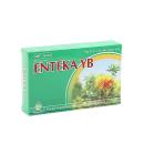 enteka yb 2 K4755 130x130px