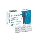 equicalcium 3 H2600 130x130px