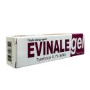 evinale gel 3 A0150 130x130px
