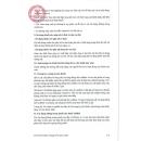 evitcef 100mg 5 E1523 130x130px