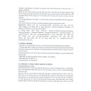 ezemintab 5 M4861 130x130px