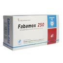 fabamox 250 1 H3052 130x130px