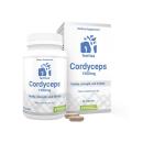 famitaa cordyceps 1500mg 1 S7624 130x130px