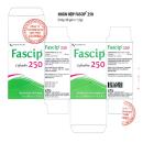 fascip 250 6 R7337 130x130px