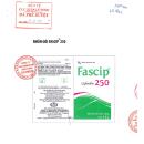 fascip 250 7 J4688 130x130px