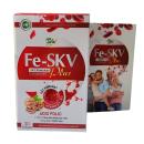 fe skv plus 2 C1513 130x130px