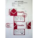 fesulte 4 V8825 130x130px