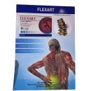 flexart 8 B0860 130x130px
