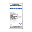 flucloxacilin 500ng vcp 4 J3568 130x130px