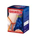 forskolin mega 2 D1141 130x130px