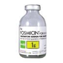 fosmicin 1g 7 V8134