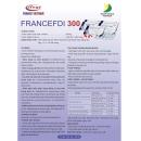 francefdi 300 4 A0205 130x130px