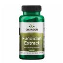 fucoidan extract swanson 1 U8764 130x130px