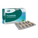 fucomune 2 I3801 130x130px