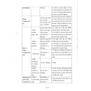 futazol 50mg 5 B0480 130x130px