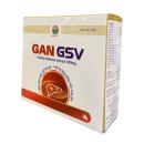 gan gsv 4 I3173 130x130px