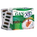 gan x9 hoa vien 4 E1744 130x130px