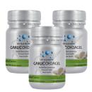 garlic oxoagel 1 T7475 130x130px