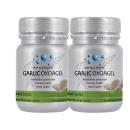 garlic oxoagel 2 H3660 130x130px