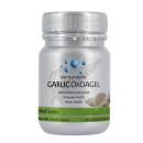 garlic oxoagel 3 O5306 130x130px