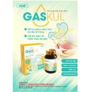 gaskul hsds 1 C1433 130x130px