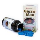 gasso max 2 E1244 130x130px