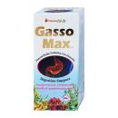 gasso max 4 C0355 130x130px