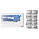 gastro nb plus 1 K4060 130x130px