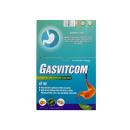 gasvitcom 1 C0350 130x130px