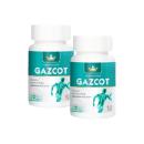 gazcot 3 F2236 130x130px