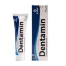 gel boi rang mieng dentamin 1 L4744 130x130px