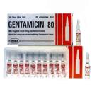 gentamicin80tw25 ttt1 B0708 130x130
