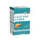 gesunde leber 3 J4536 130x130px