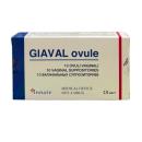 giaval ovule 1 E1411 130x130px