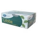 giloba 40 10 O6618 130x130px