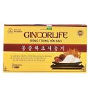 gincorlife dong trung yen sao 3 P6406 130x130px