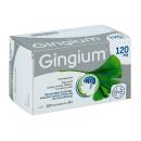 gingium 120mg 1 P6882 130x130px