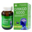 ginkgo 6000 nobiphar P6520 130x130px