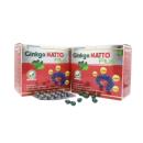 ginkgo natto plus nature pharma 2 O5178 130x130px