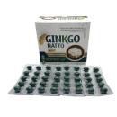 ginkgo natto plus vinaphar 1 N5367 130x130px