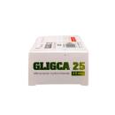 gligca 25 2 K4402 130x130px