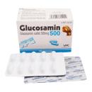 glucosamin 500mg pharimexco 2 F2582