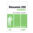 glusamin 250 2 H2472 130x130px