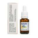 gobebe probiotic 06 A0847 130x130px