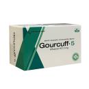gourcuff 5 3 F2737 130x130px