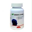 green living brain 4 M5208 130x130px
