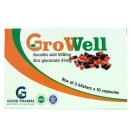 growell 2 K4068 130x130px