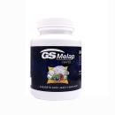 gs melap rapid 7 O6122 130x130px