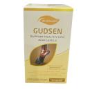 gudsen ultra health 6 R7482 130x130px